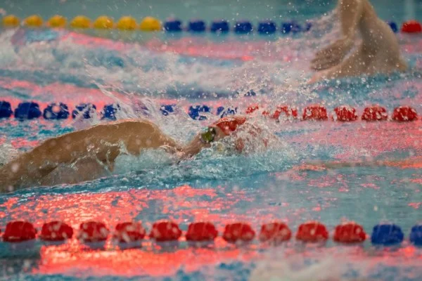 潘展乐新加坡站百米自由泳冲金前景与波波维奇竞争力对比解析